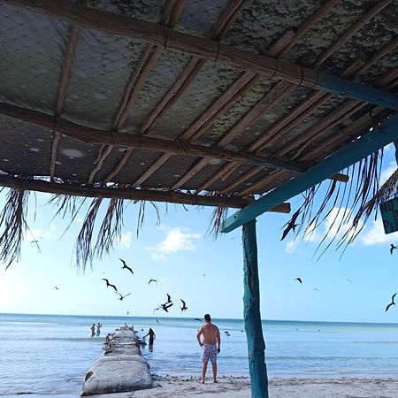 Mi Habitat Holbox-Maravilla Natural エクステリア 写真
