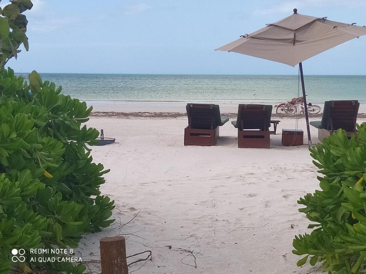Mi Habitat Holbox-Maravilla Natural エクステリア 写真