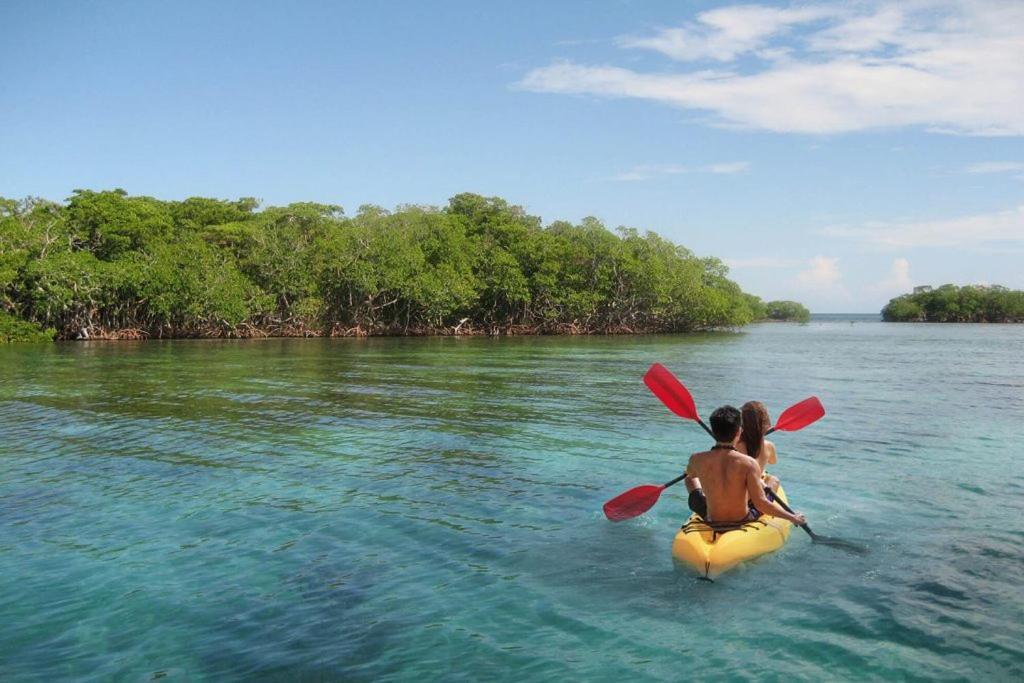 Mi Habitat Holbox-Maravilla Natural エクステリア 写真