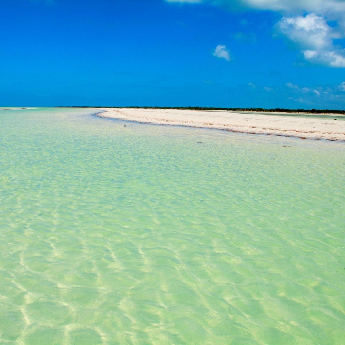 Mi Habitat Holbox-Maravilla Natural エクステリア 写真