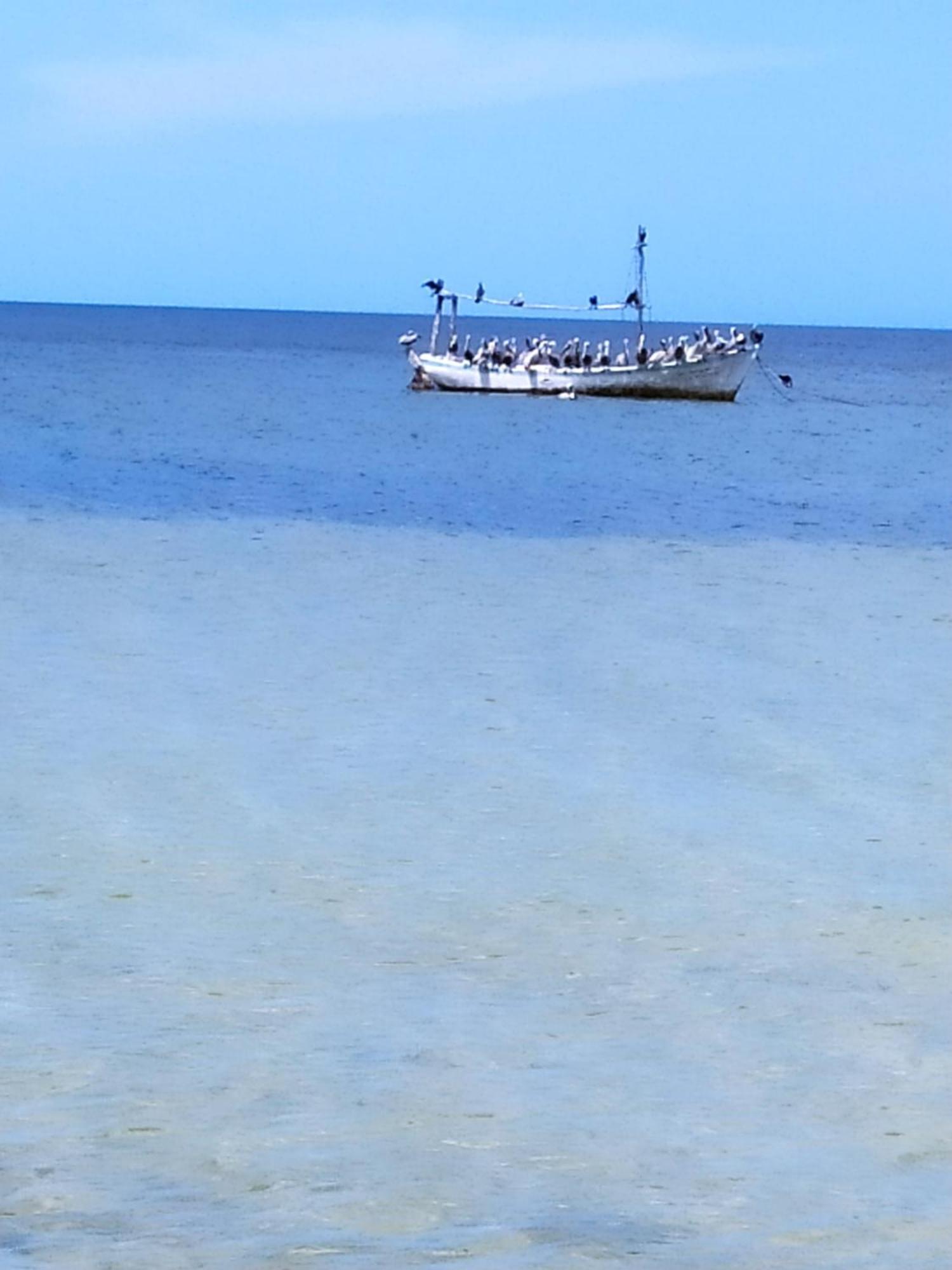 Mi Habitat Holbox-Maravilla Natural エクステリア 写真
