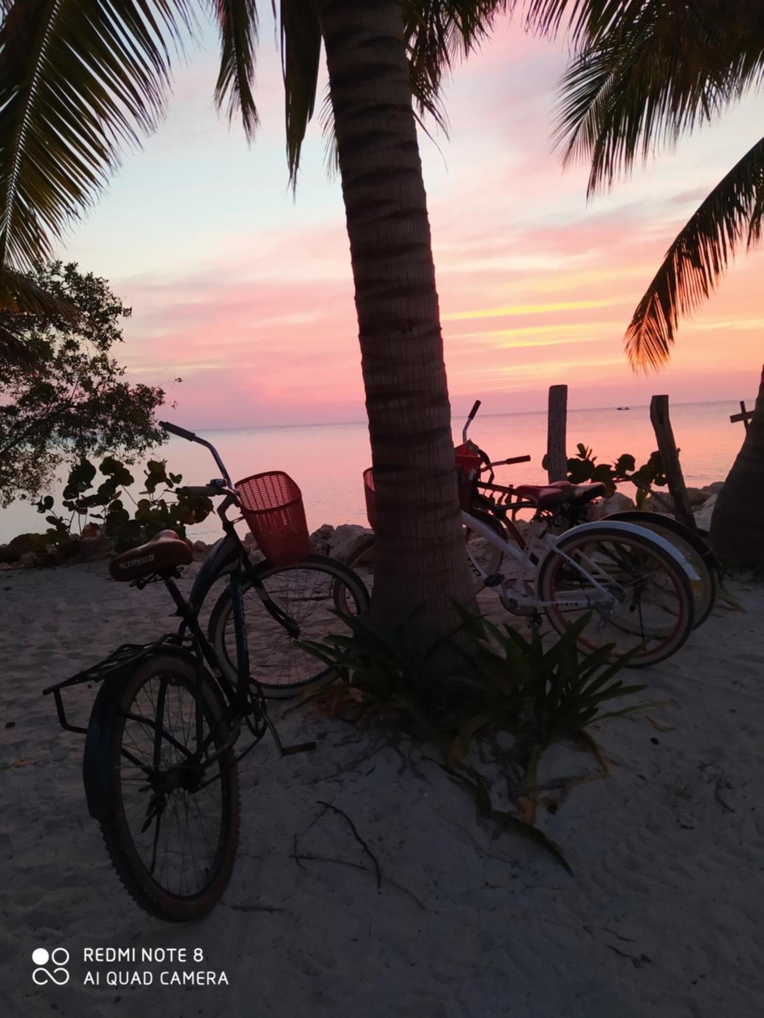 Mi Habitat Holbox-Maravilla Natural エクステリア 写真