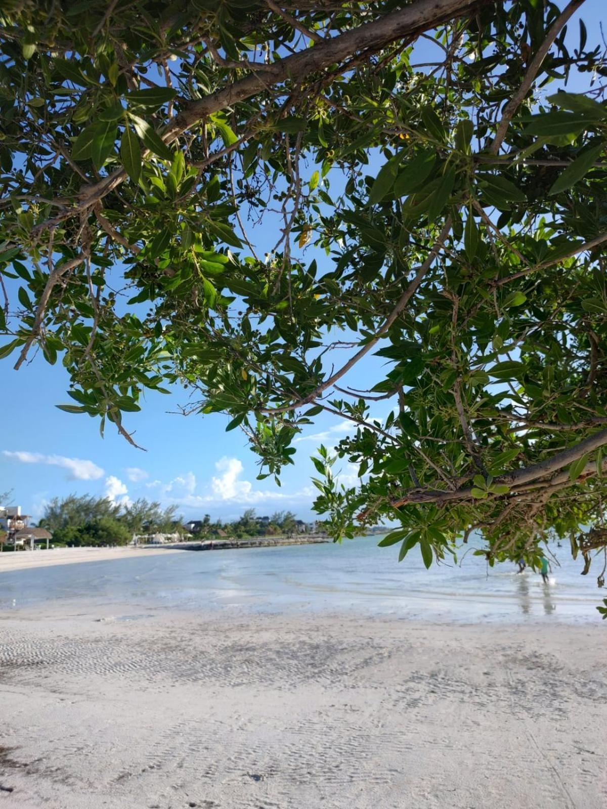 Mi Habitat Holbox-Maravilla Natural エクステリア 写真