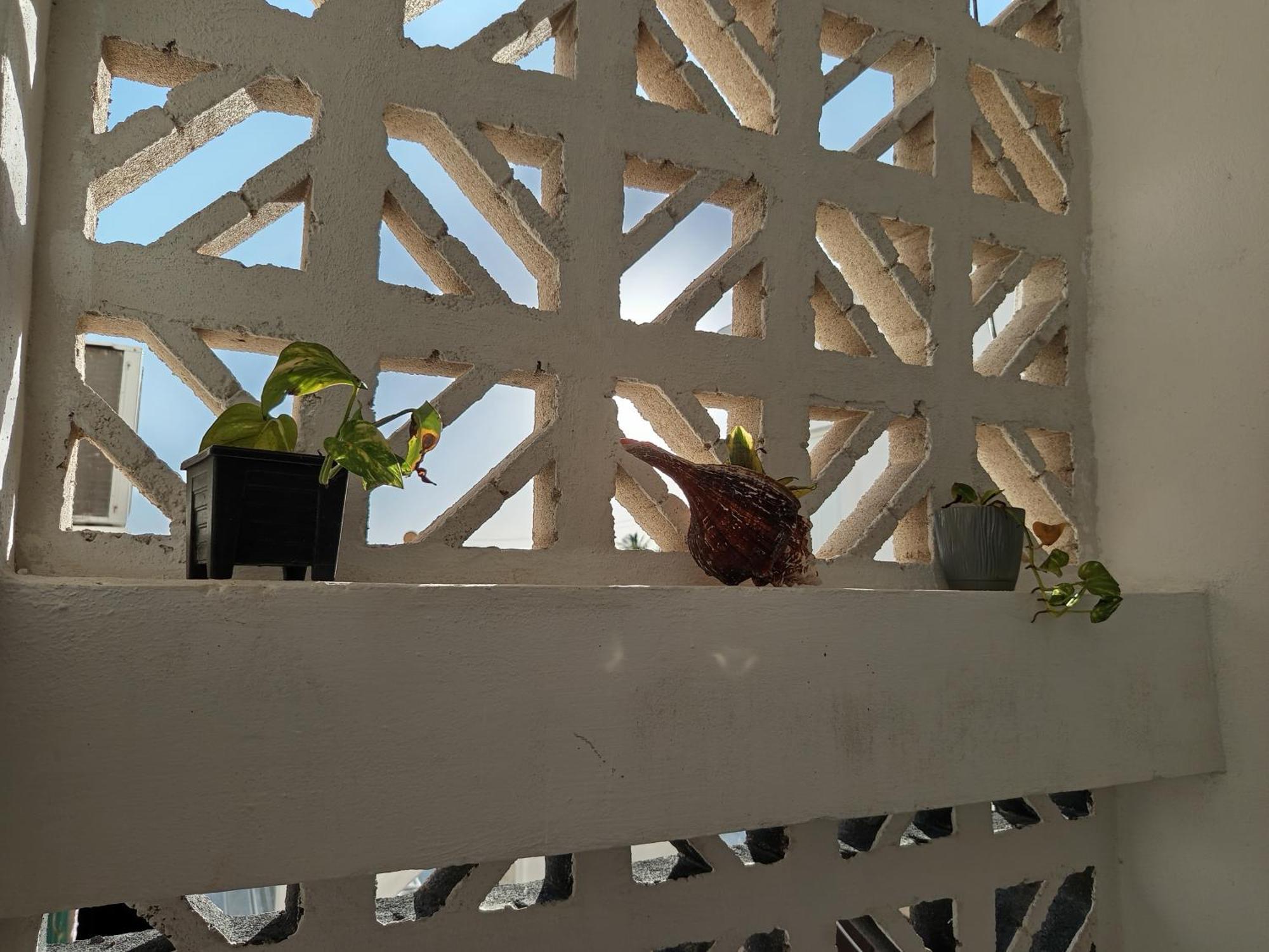 Mi Habitat Holbox-Maravilla Natural エクステリア 写真