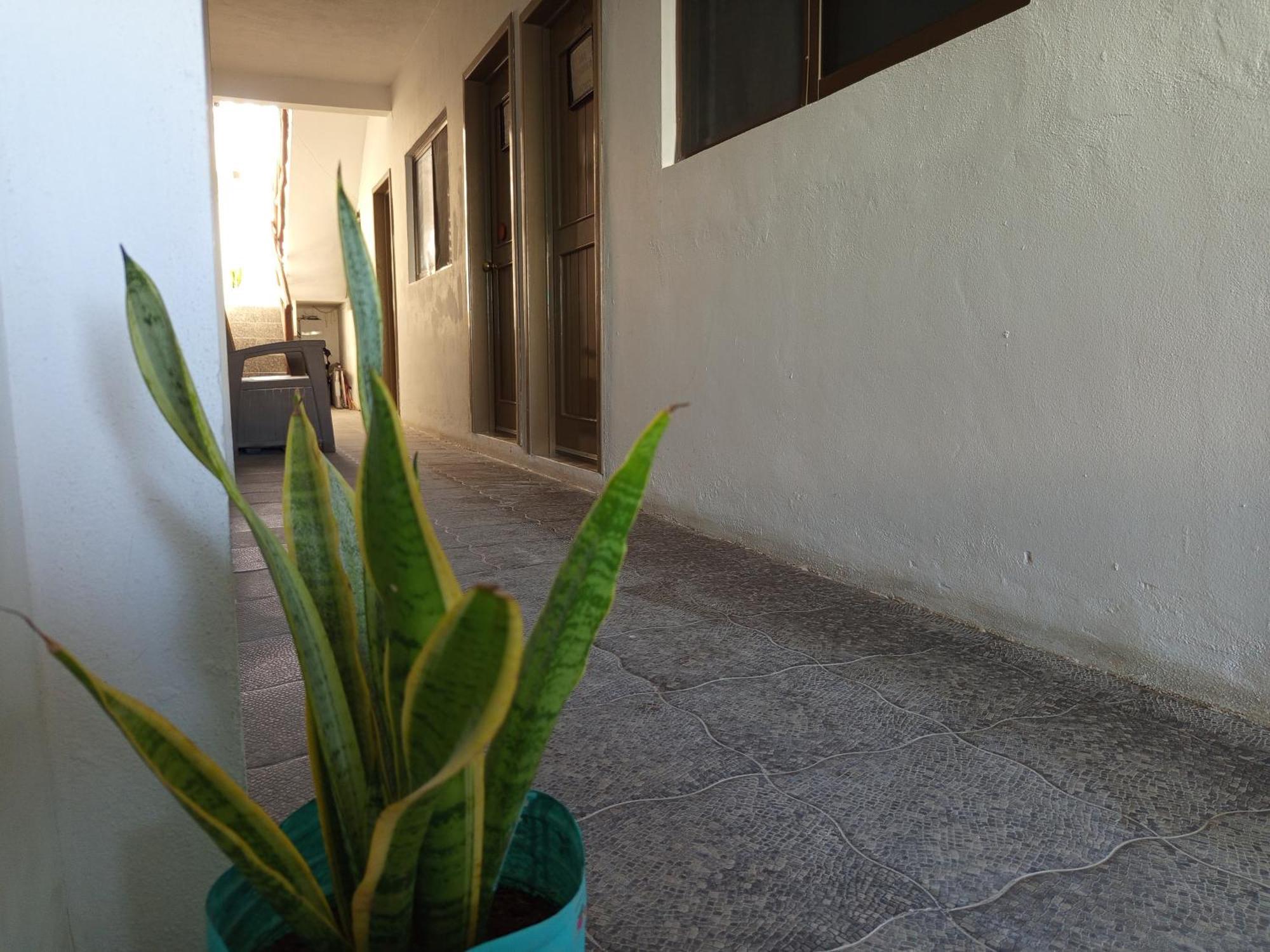 Mi Habitat Holbox-Maravilla Natural エクステリア 写真