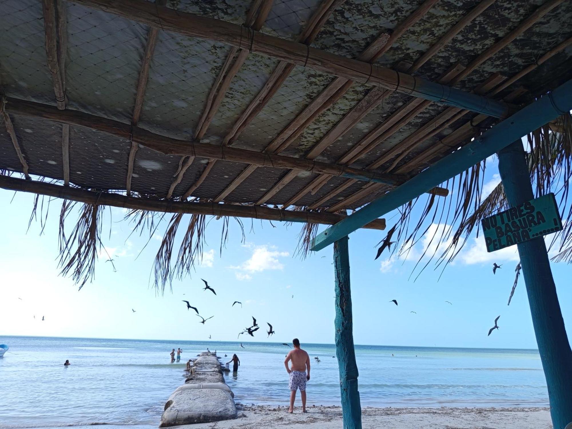 Mi Habitat Holbox-Maravilla Natural エクステリア 写真